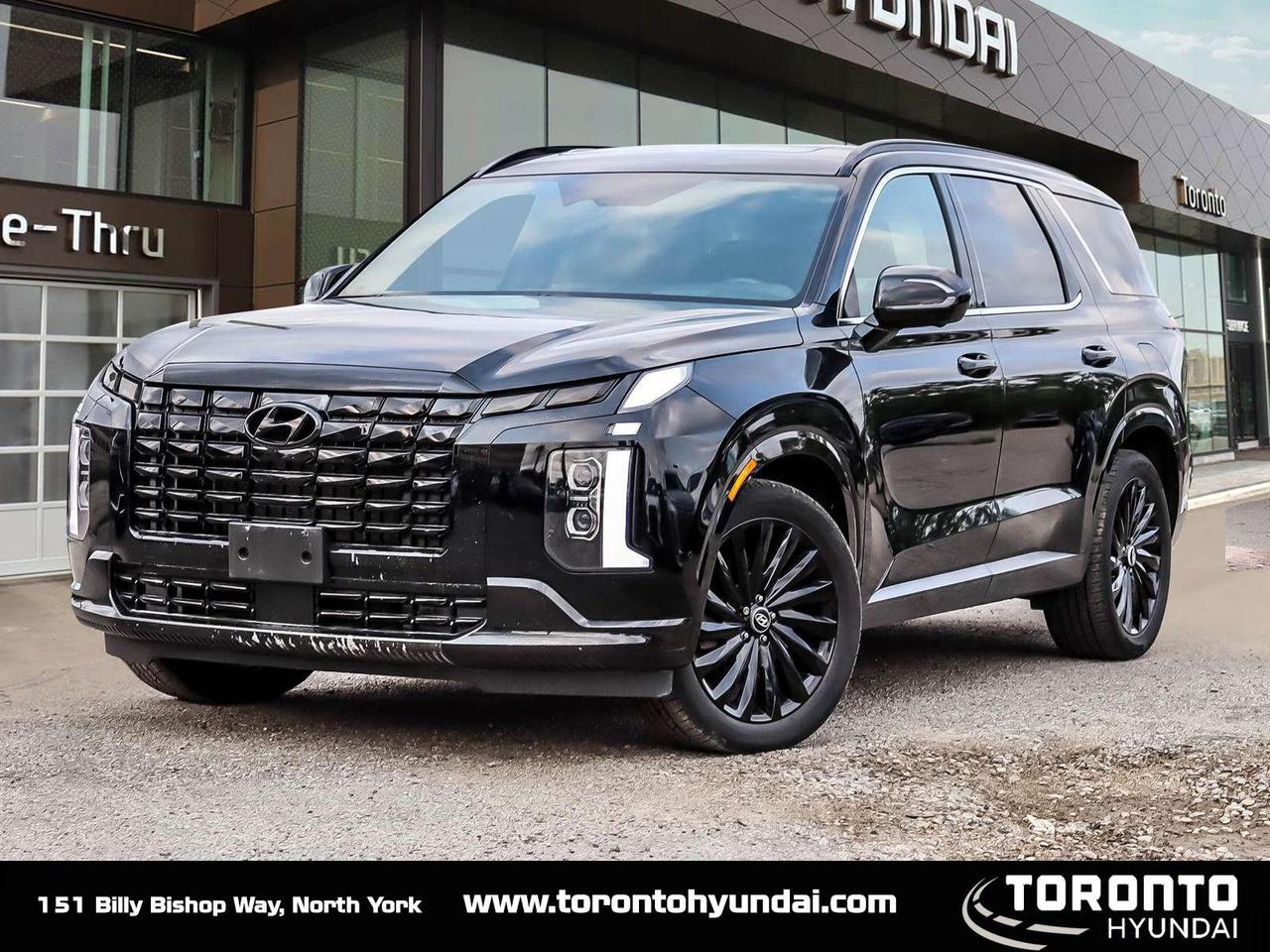 2025 Hyundai PALISADE Ultimate Calligraphy Night Photo0