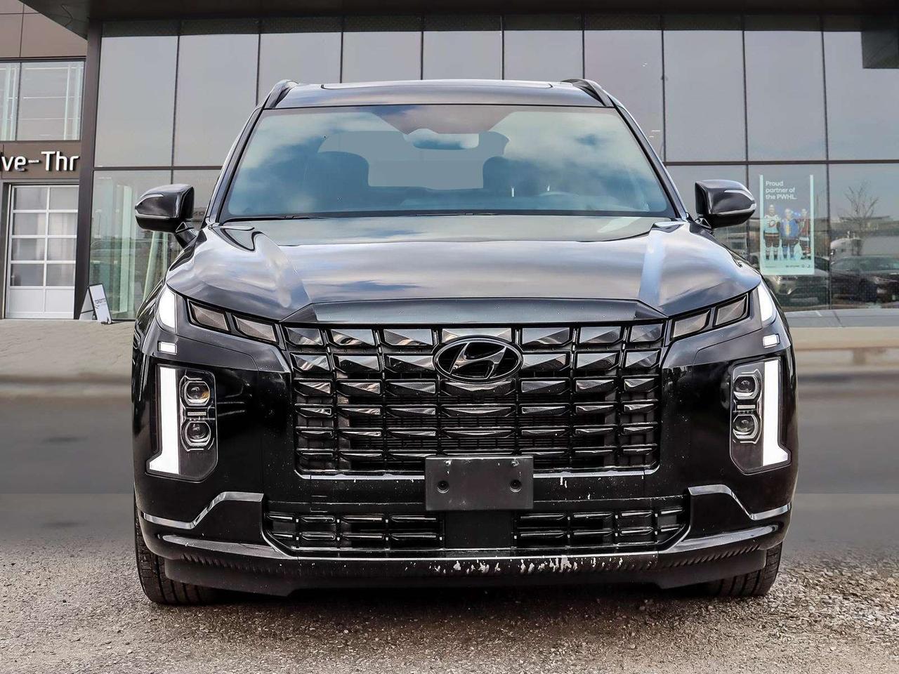 2025 Hyundai PALISADE Ultimate Calligraphy Night Photo1