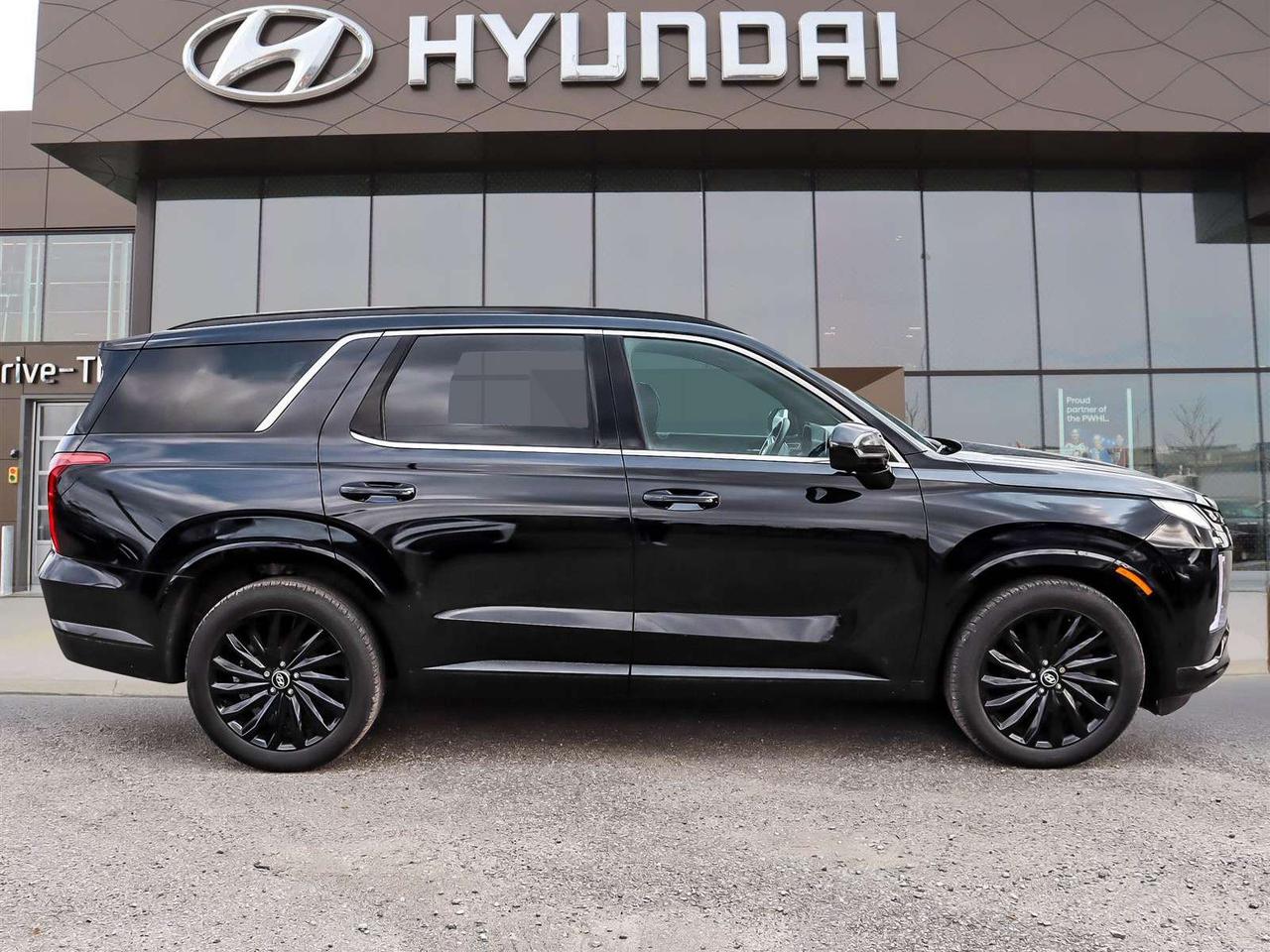2025 Hyundai PALISADE Ultimate Calligraphy Night Photo
