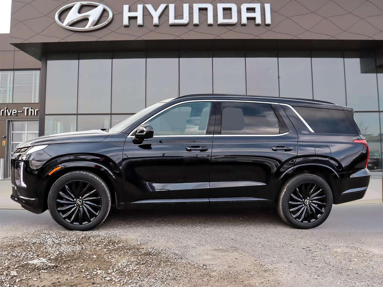 2025 Hyundai PALISADE Ultimate Calligraphy Night Photo