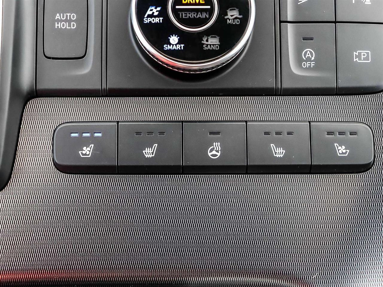 2025 Hyundai PALISADE Ultimate Calligraphy Night Photo