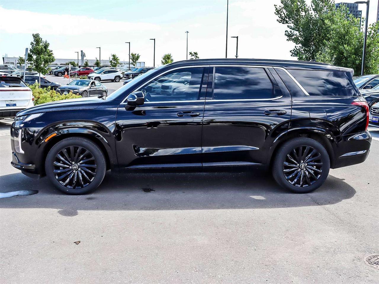 2025 Hyundai PALISADE Ultimate Calligraphy Night Photo