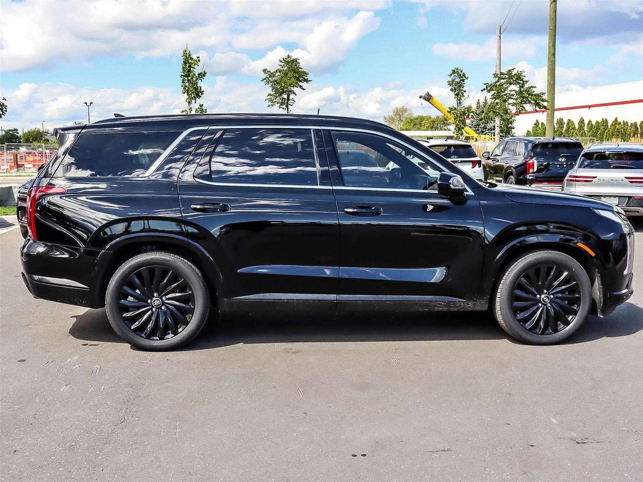 2025 Hyundai PALISADE Ultimate Calligraphy Night Photo