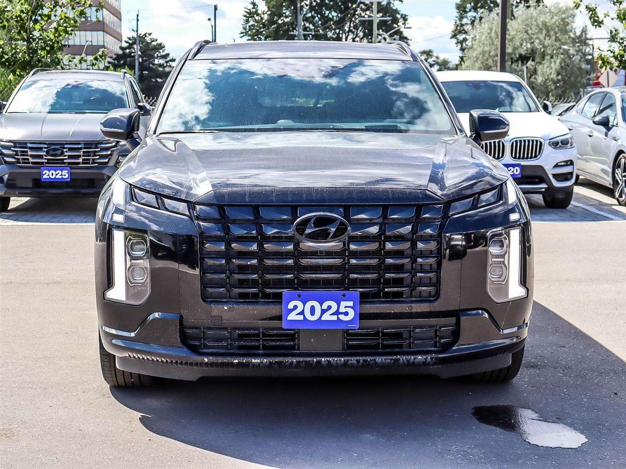 2025 Hyundai PALISADE Ultimate Calligraphy Night Photo