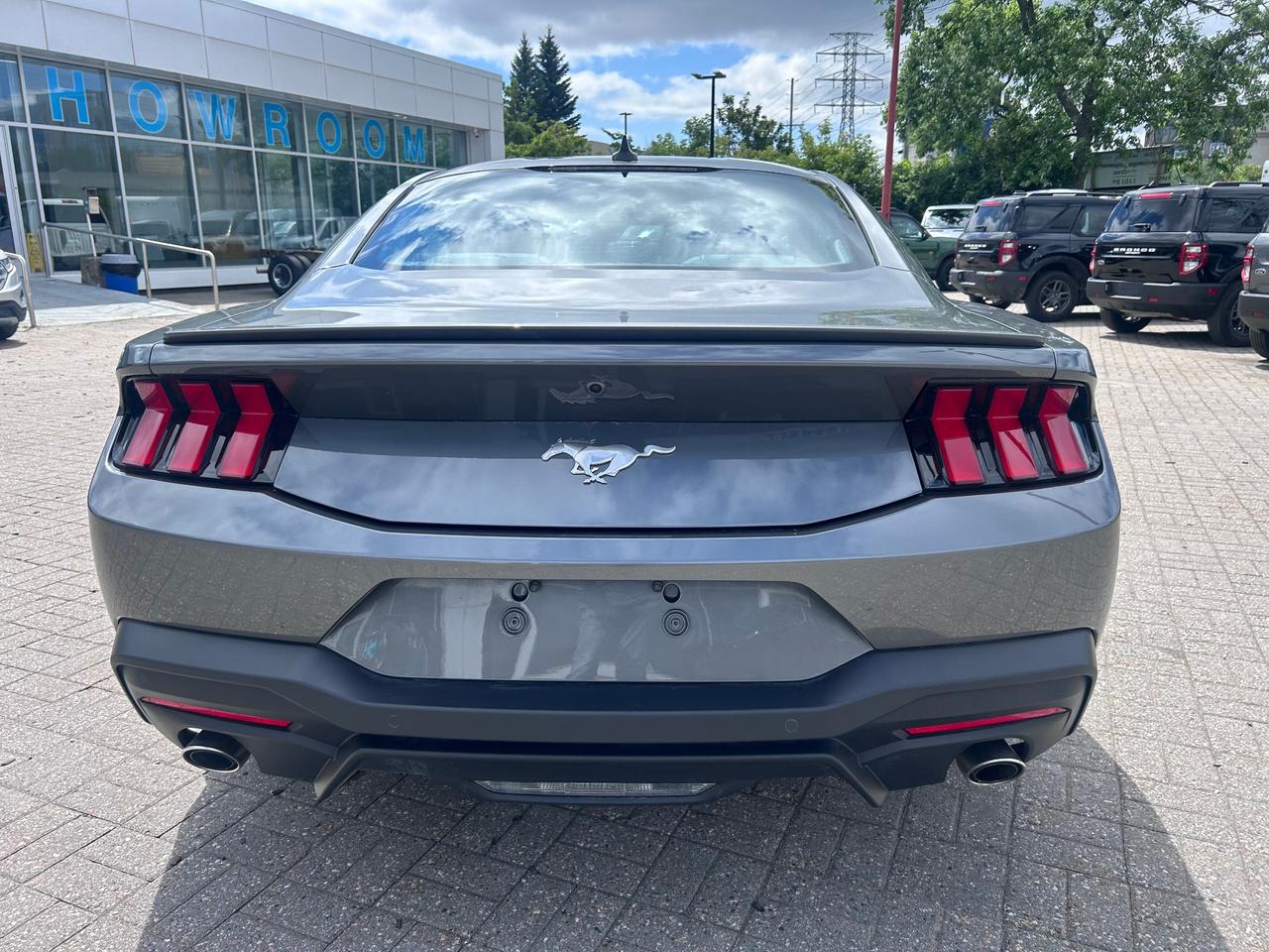 2025 Ford Mustang  Photo