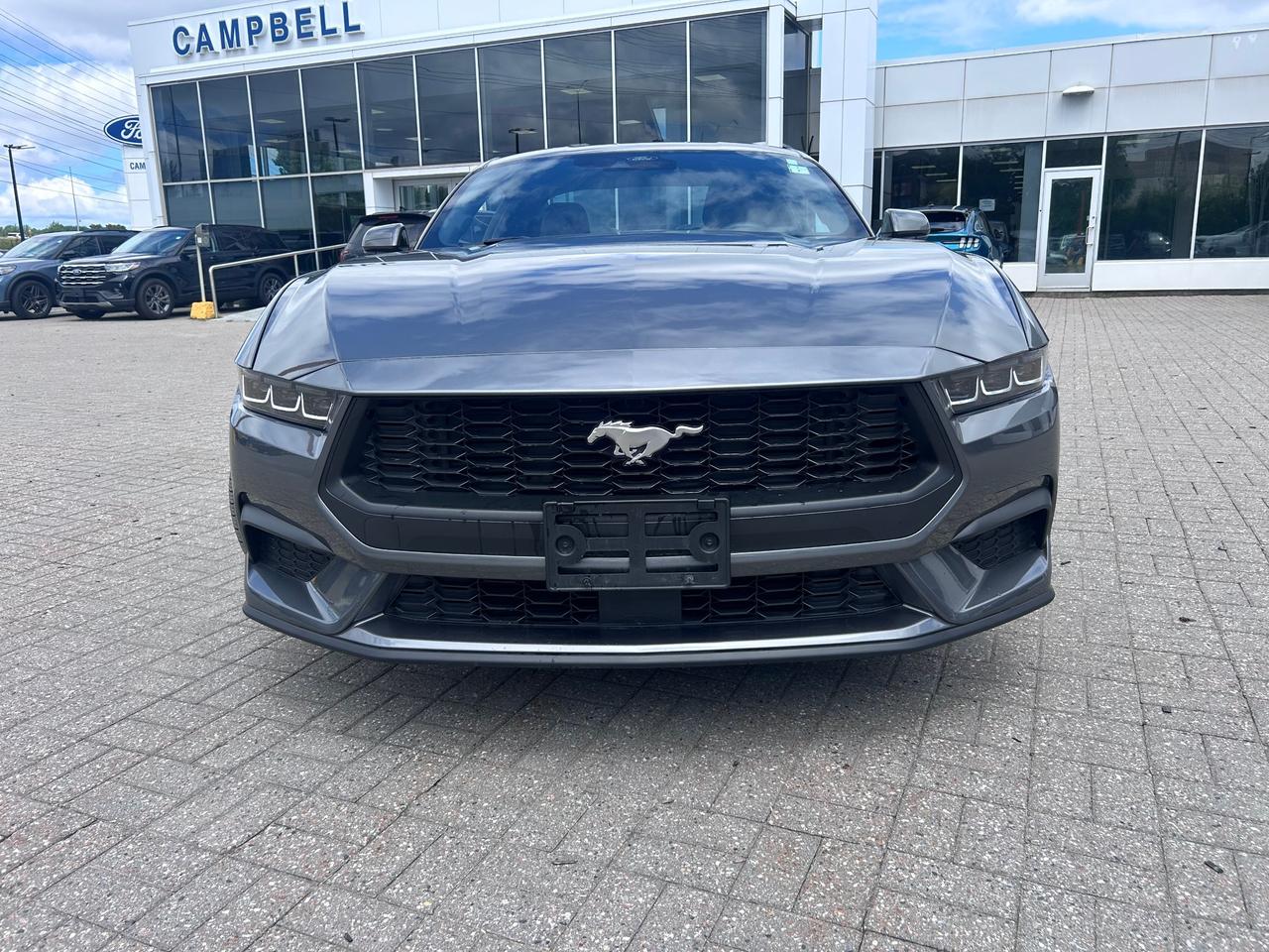 2025 Ford Mustang  Photo
