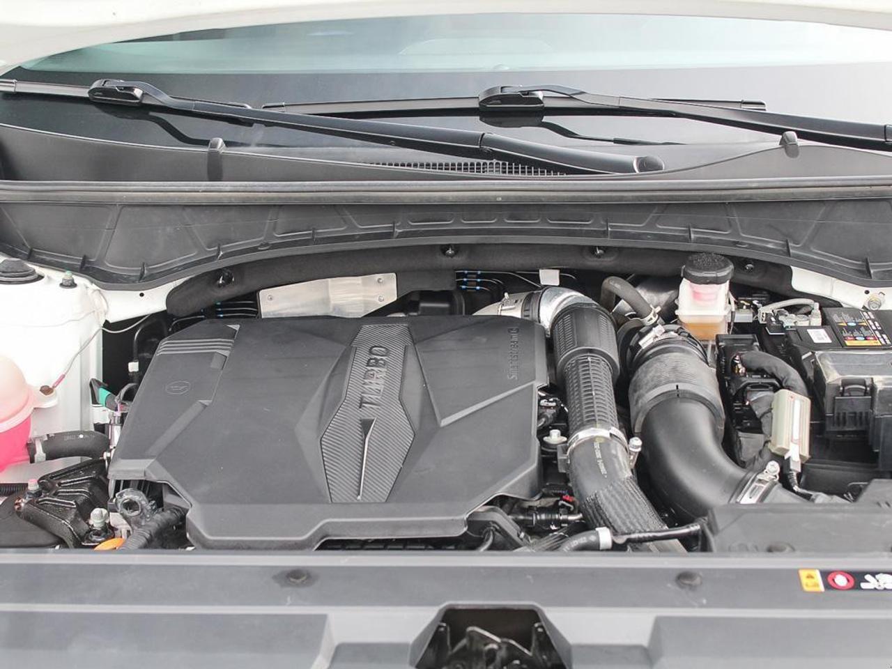 2024 Hyundai Santa Cruz  Photo