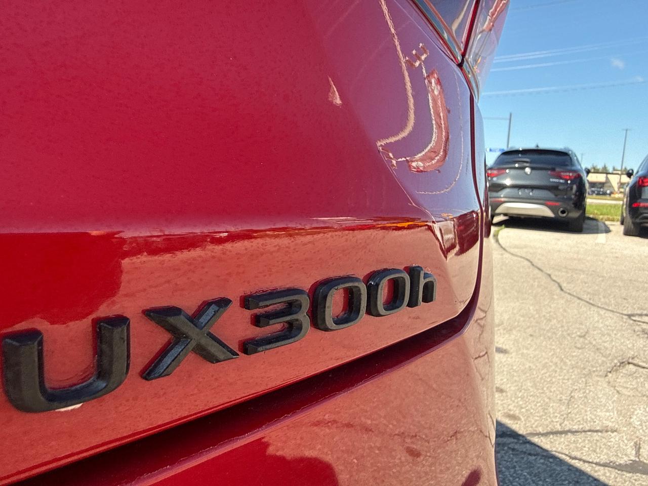 2025 Lexus UX 300H Base 4dr All-Wheel Drive Photo