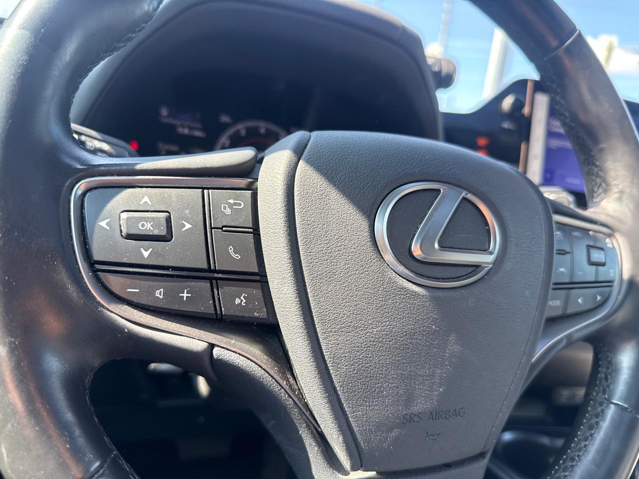 2025 Lexus UX 300H Base 4dr All-Wheel Drive Photo
