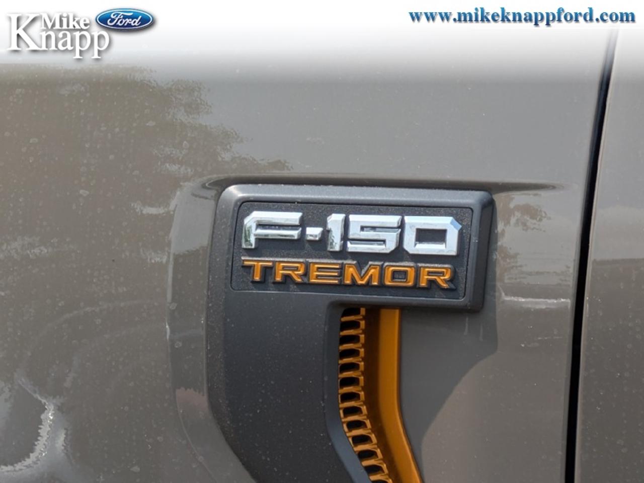 2026 Ford F-150 Tremor Photo