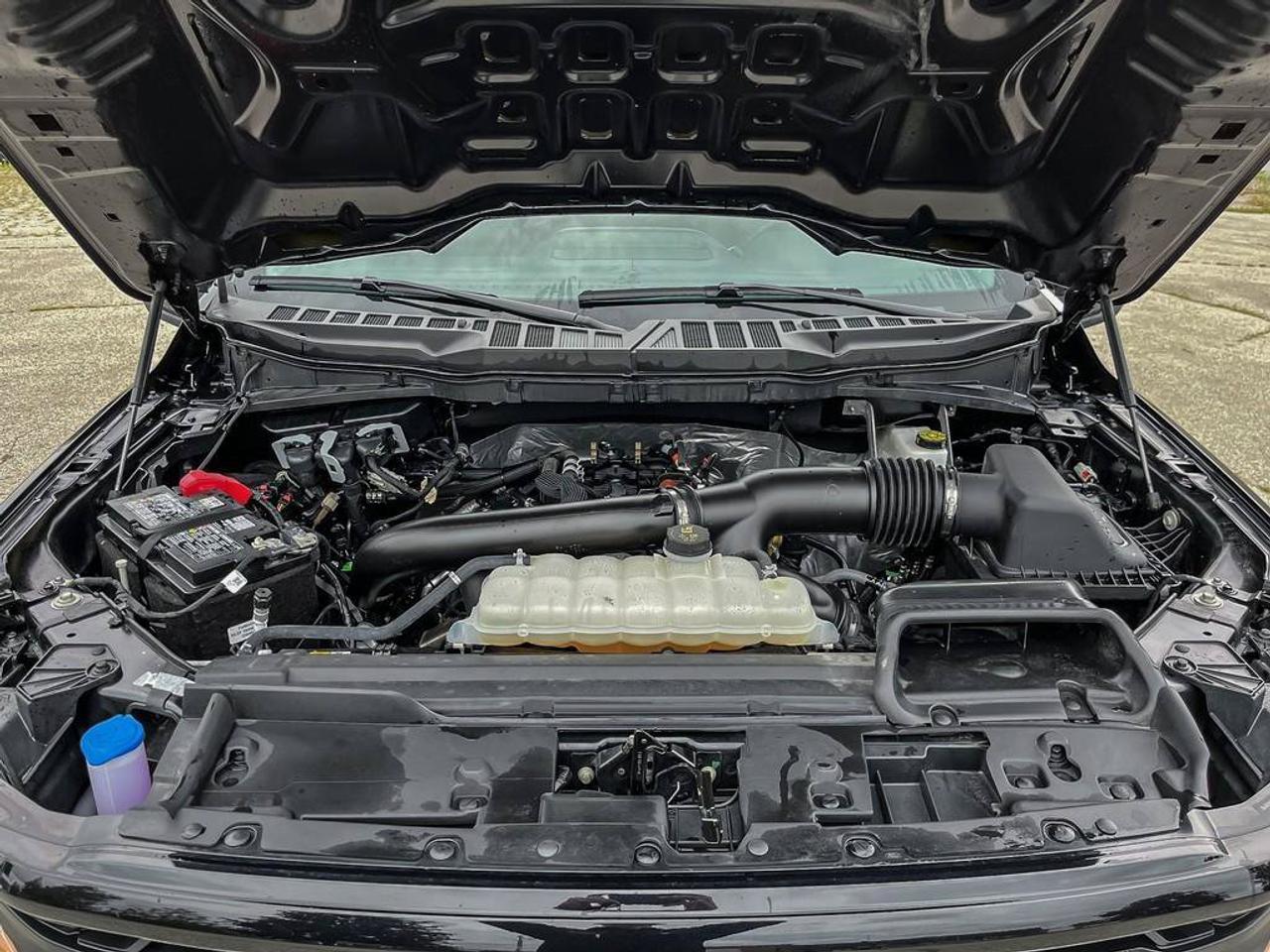 2025 Ford F-150 XLT | 3.5L EcoBoost | Clean CarFax | Blind-Spot | Apple CarPlay | Android Auto | Lane Keep | Photo