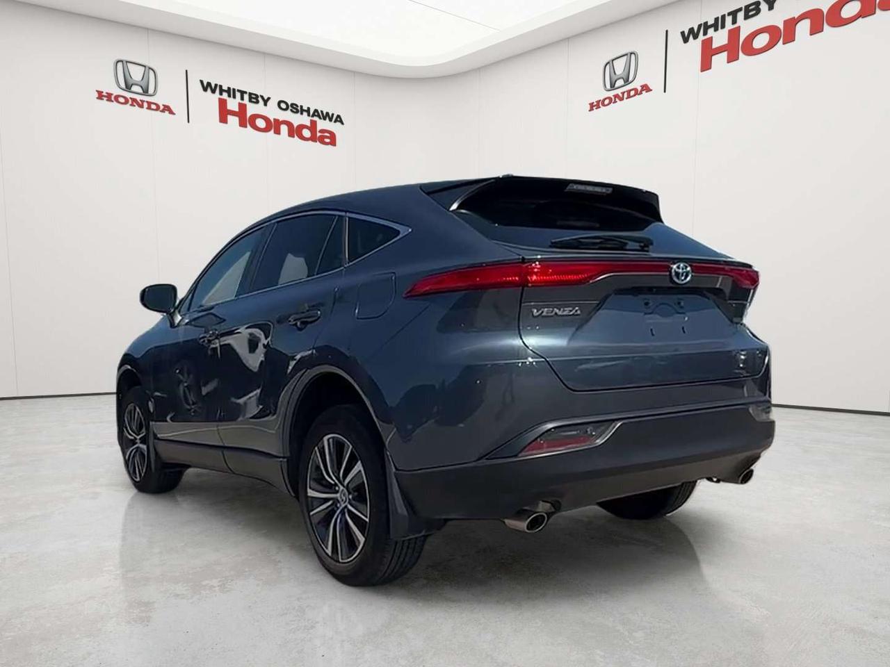 2023 Toyota Venza LE Photo