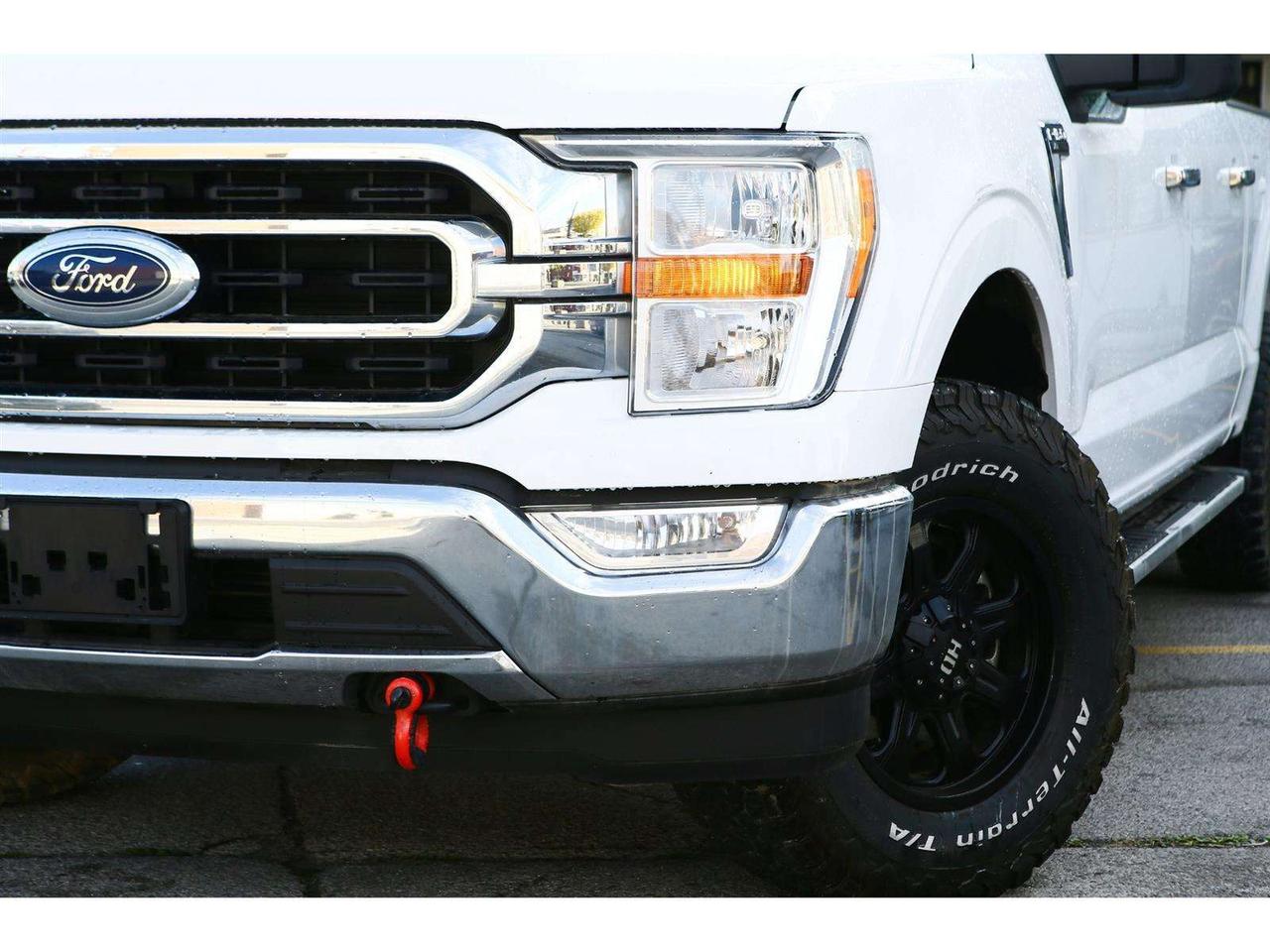 2023 Ford F-150 XLT SuperCrew 6.5-ft. 4WD Photo