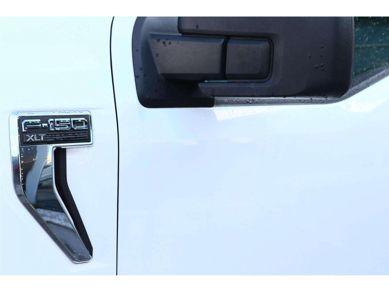2023 Ford F-150 XLT SuperCrew 6.5-ft. 4WD Photo