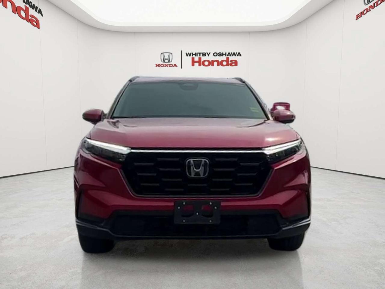 2024 Honda CR-V Sport Photo