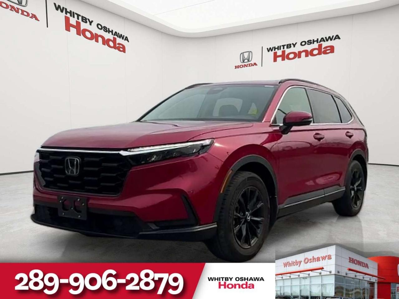 2024 Honda CR-V Sport Photo