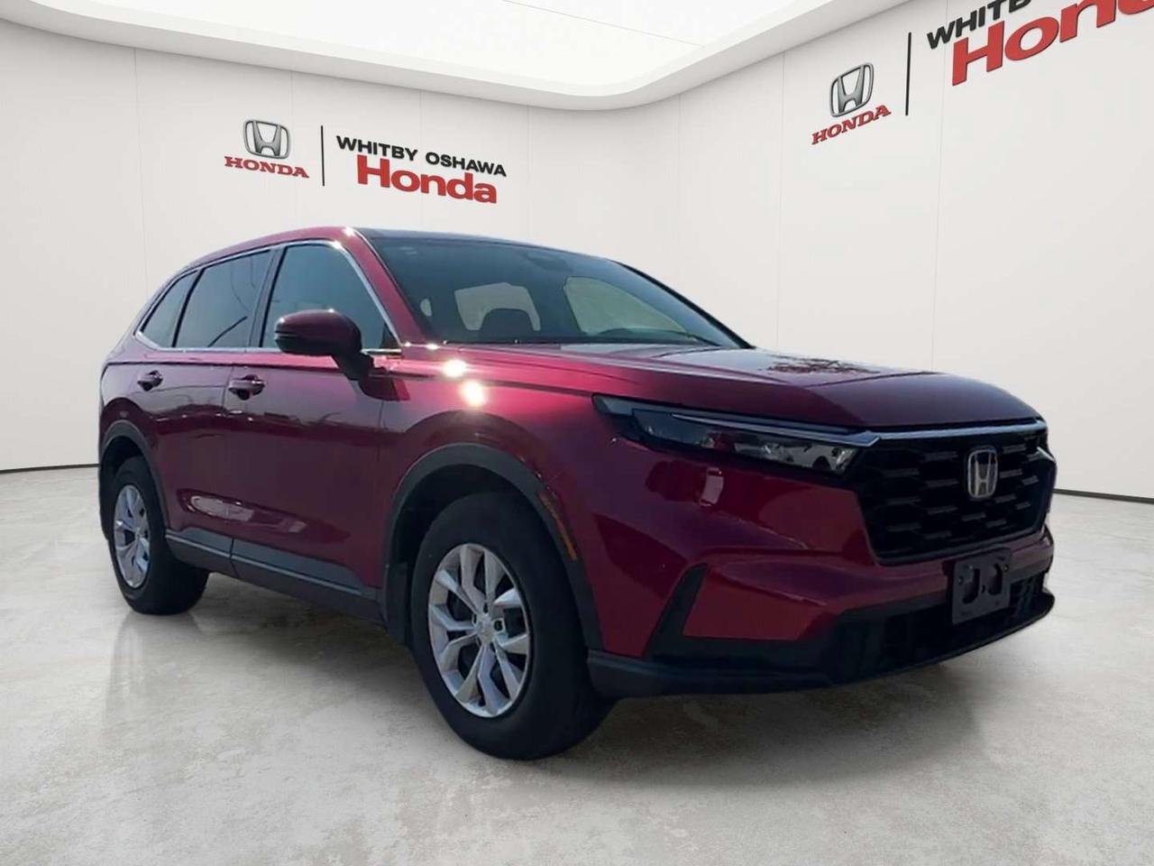 2026 Honda CR-V LX Photo