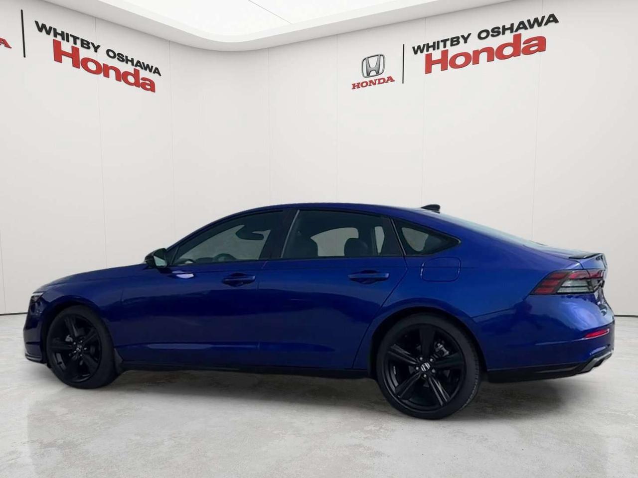 2025 Honda Accord Sport-L Photo
