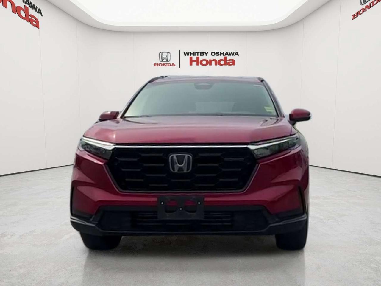 2024 Honda CR-V Sport Photo