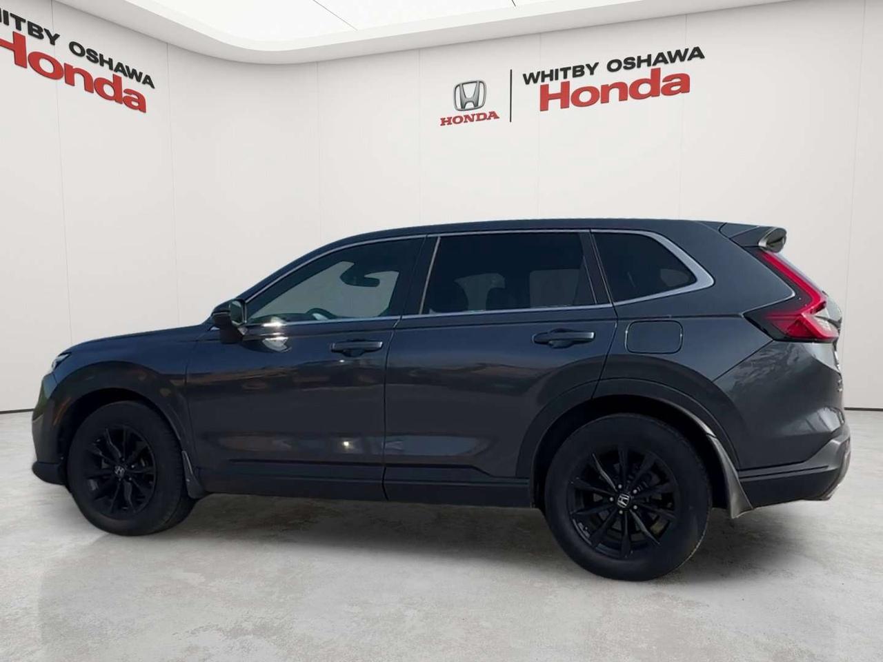2025 Honda CR-V EX-L Photo