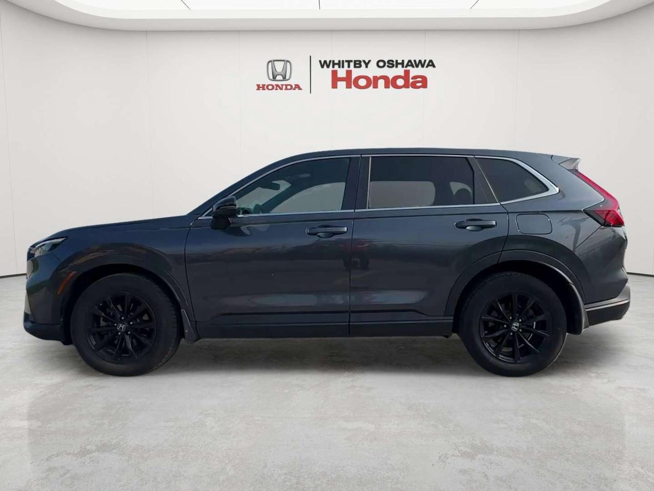 2025 Honda CR-V EX-L Photo
