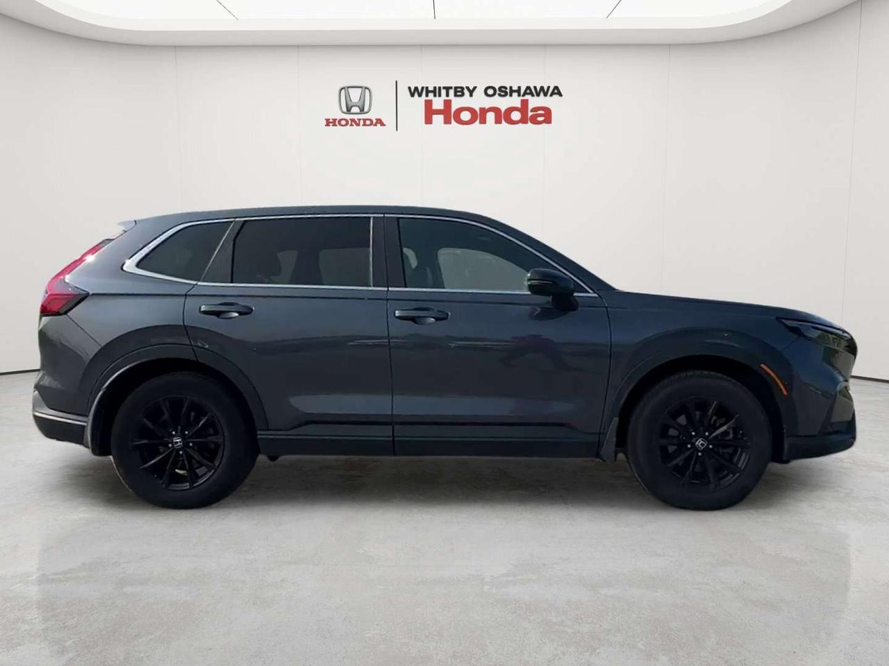 2025 Honda CR-V EX-L Photo