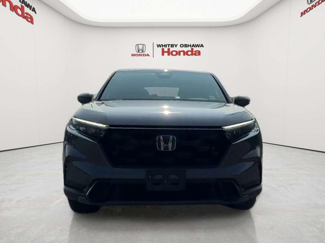 2025 Honda CR-V EX-L Photo