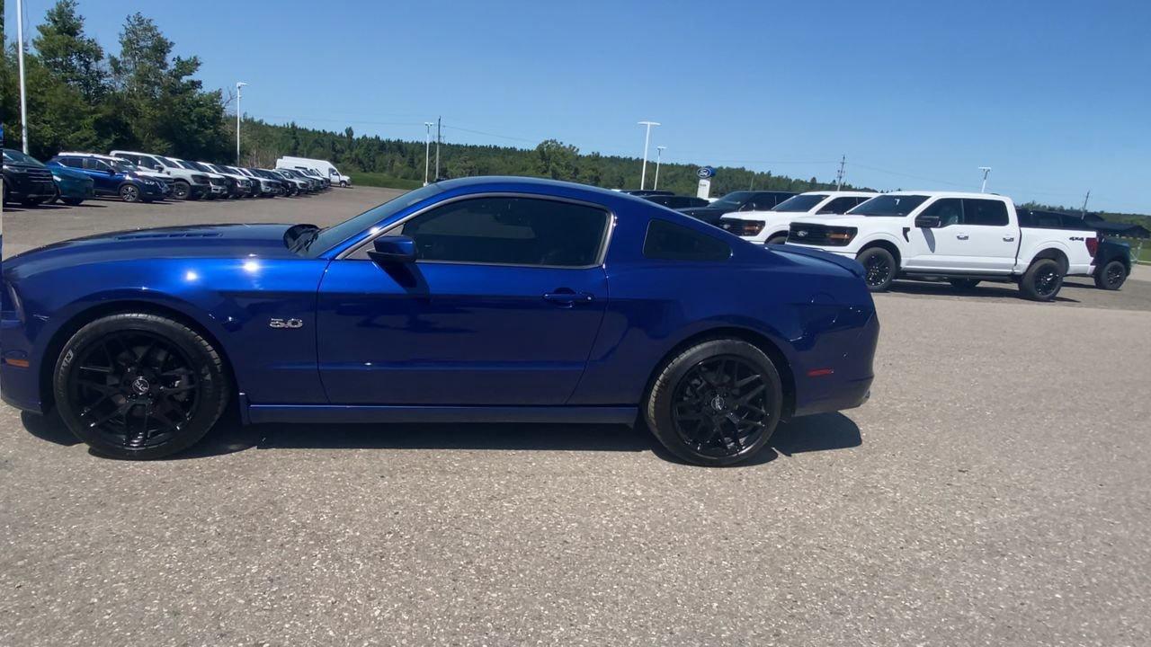 2014 Ford Mustang GT Photo