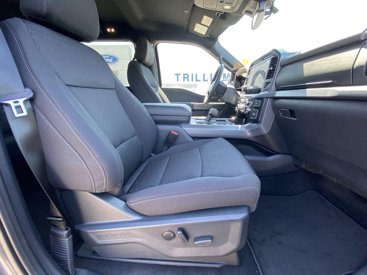 2026 Ford F-150 XLT Photo