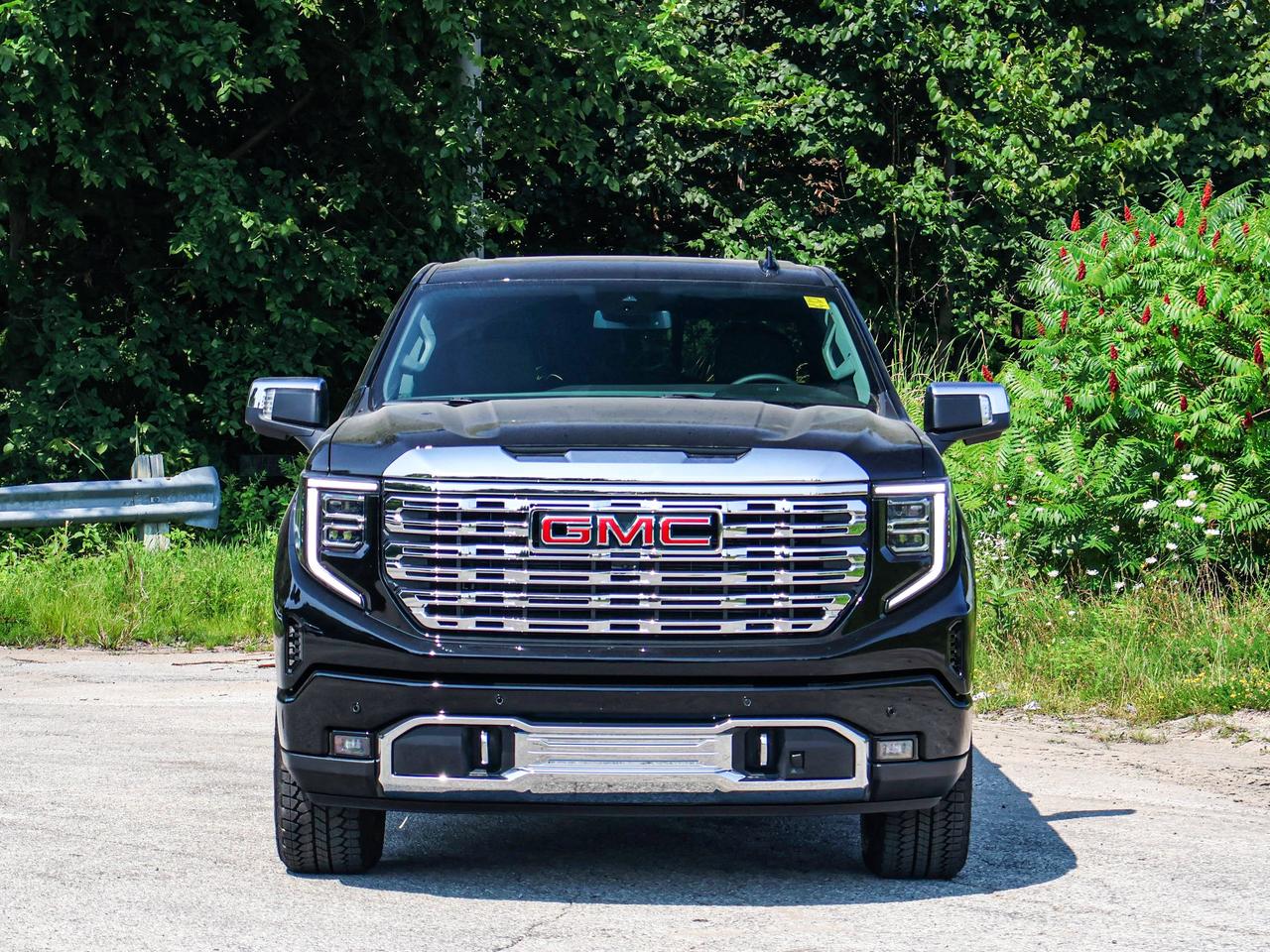 2026 GMC Sierra 1500 Denali Photo