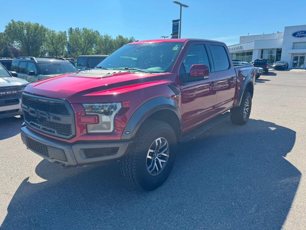 Used 2017 Ford F-150 RAPTOR for sale in Calgary, AB