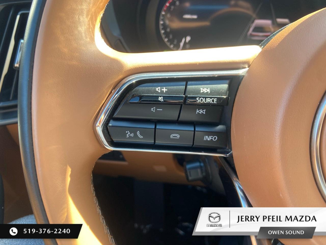 2024 Mazda CX-90 MHEV Signature AWD Photo