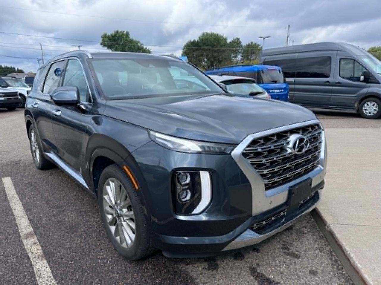 2020 Hyundai PALISADE ULTIMATE Photo5