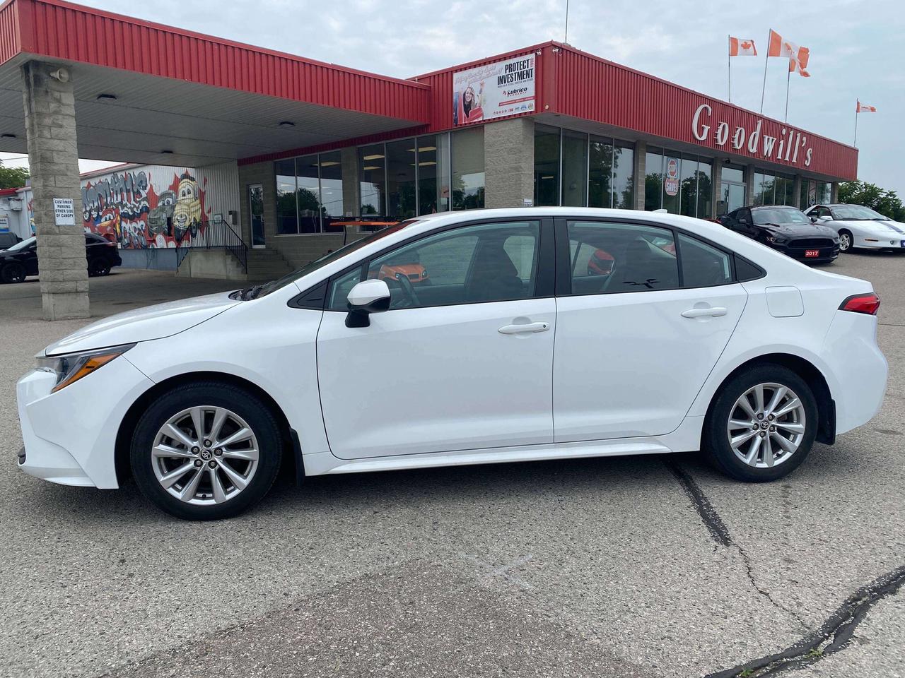 2024 Toyota Corolla LE, CLEAN CARFAX, SUNROOF, ADAPTIVE CRUISE! - Photo #5