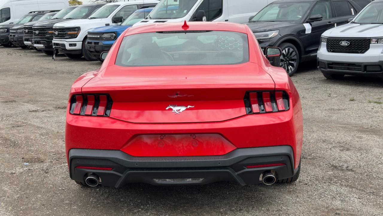 2026 Ford Mustang EcoBoost Fastback Photo