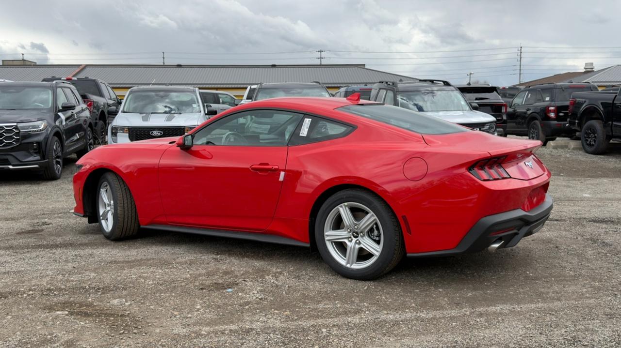 2026 Ford Mustang EcoBoost Fastback Photo