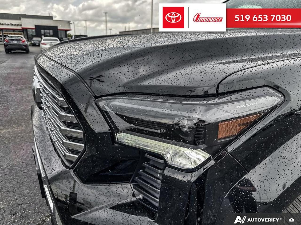 2026 Toyota TACOMA HYBRID  Photo