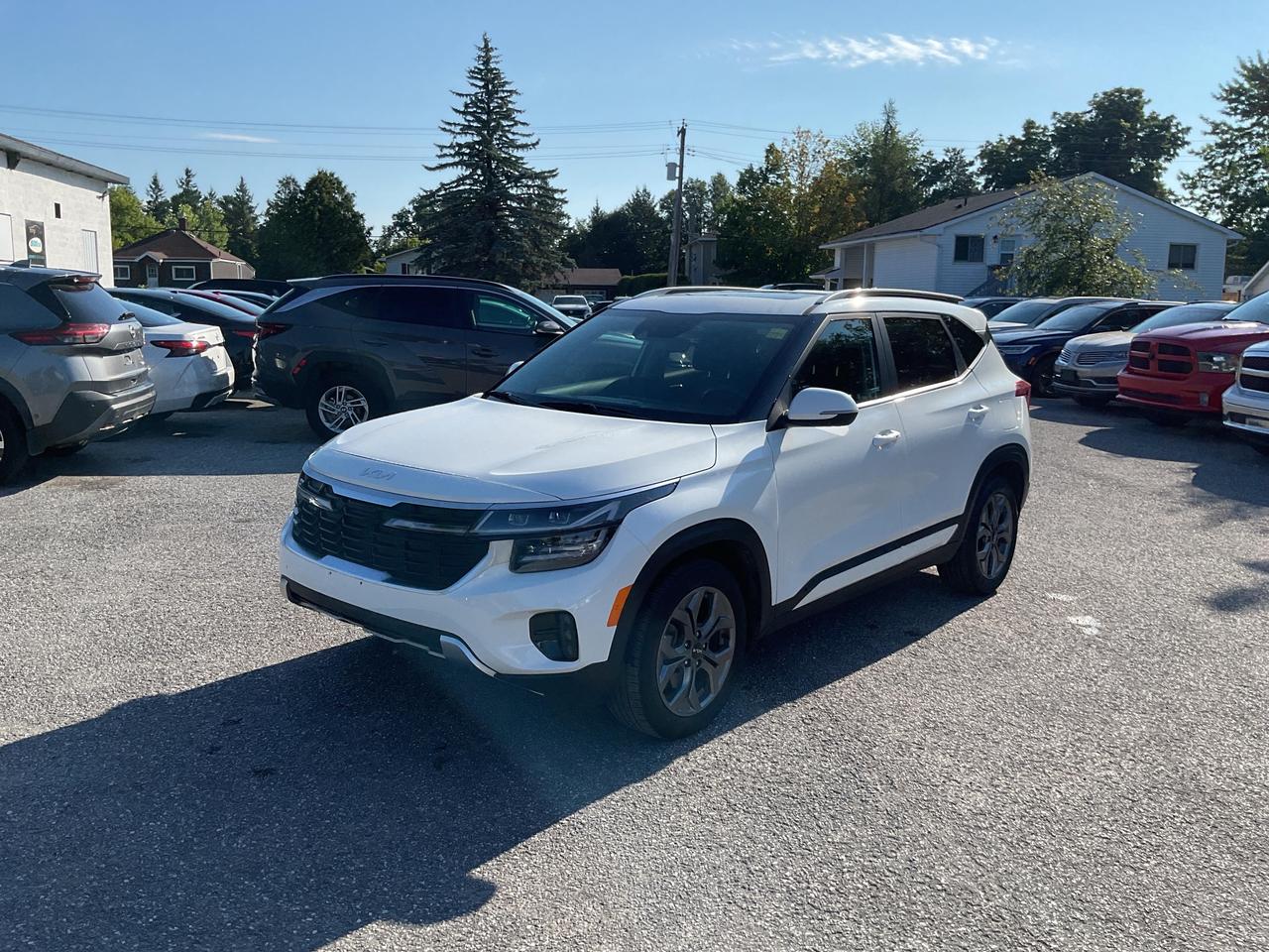 Used 2025 Kia Seltos  for sale in Kingston, ON