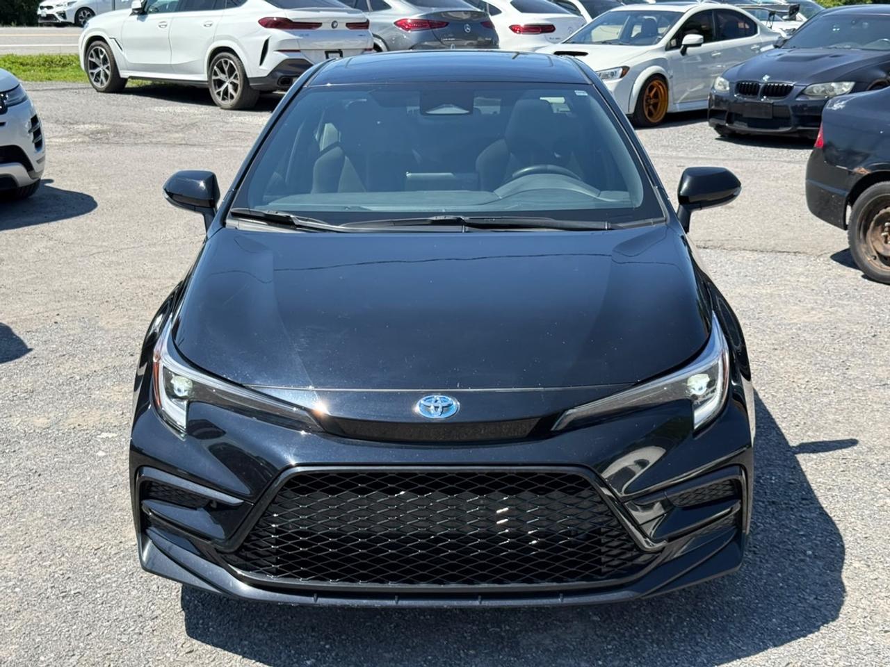 2024 Toyota Corolla SE Photo