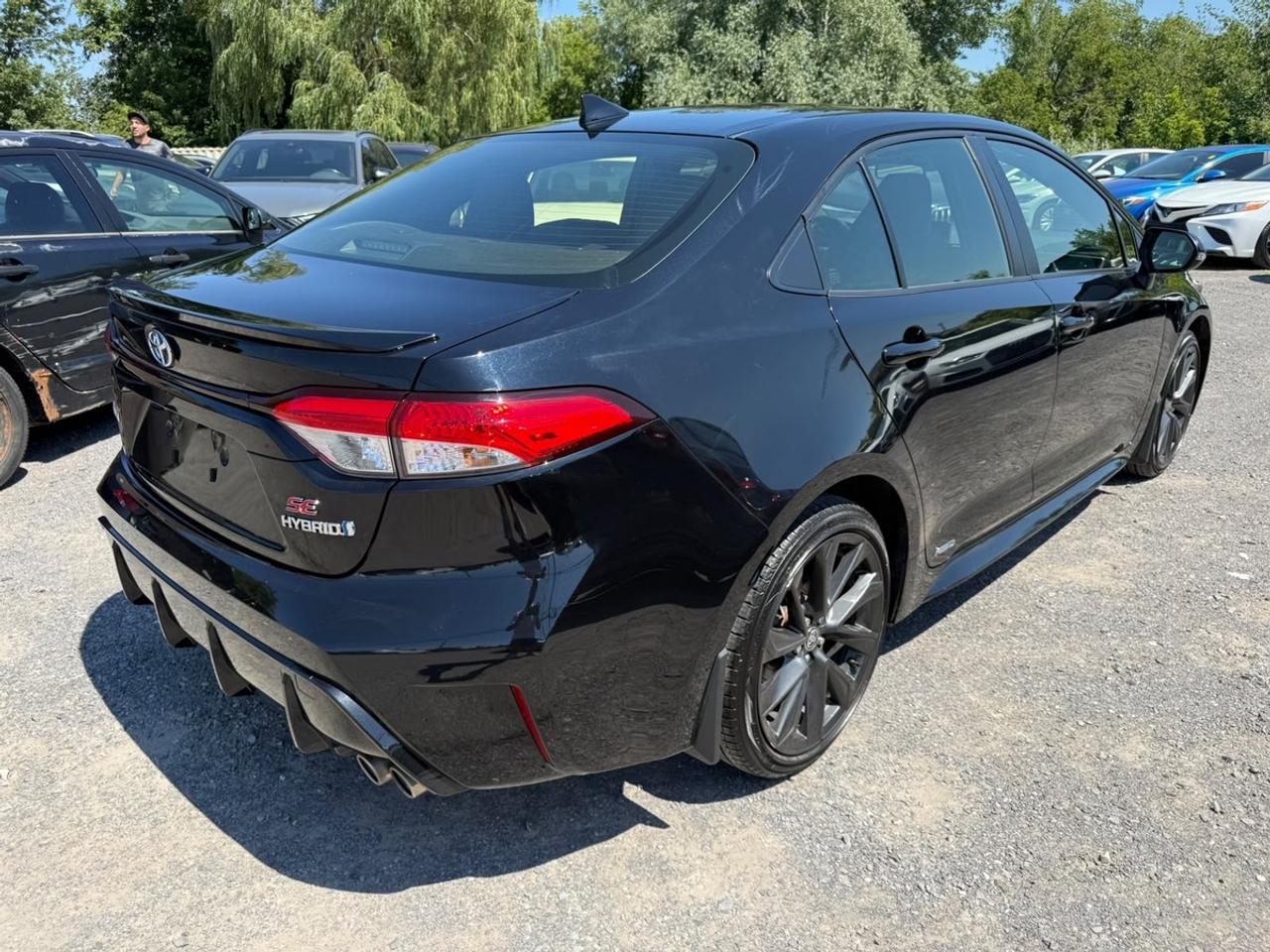 2024 Toyota Corolla SE Photo