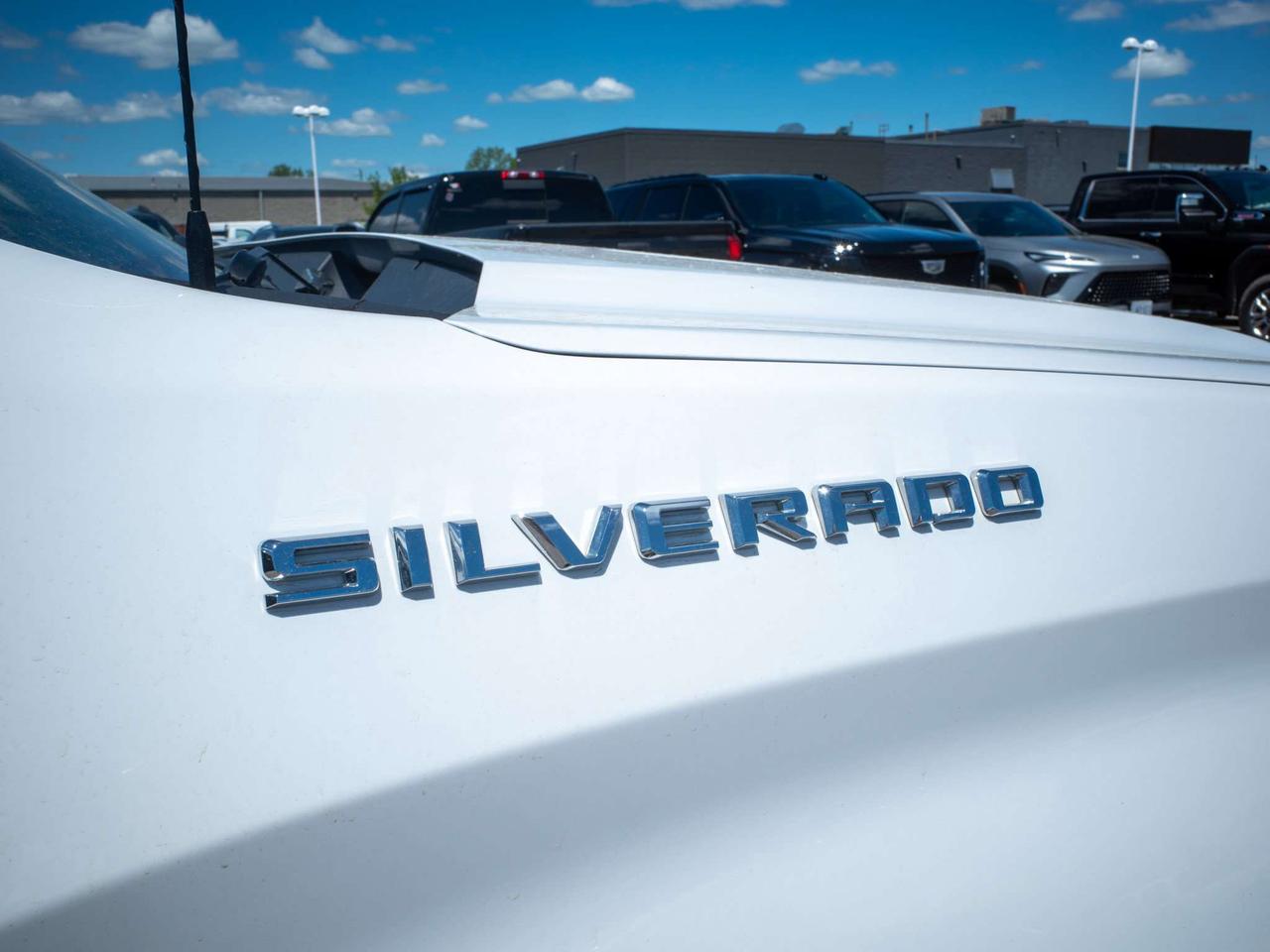 2019 Chevrolet Silverado 1500 LT - Cloth Seats   Back-Up Camera Photo