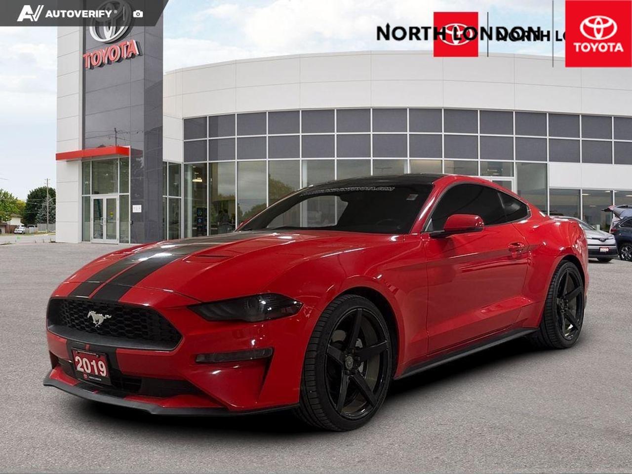 2019 Ford Mustang EcoBoost 2dr Fastback Photo