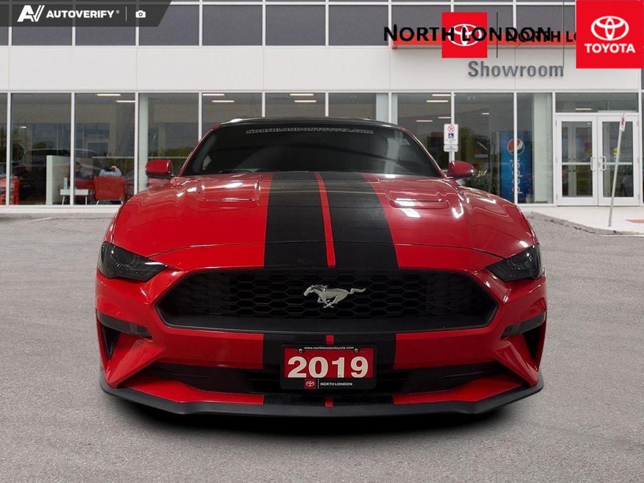 2019 Ford Mustang EcoBoost 2dr Fastback Photo