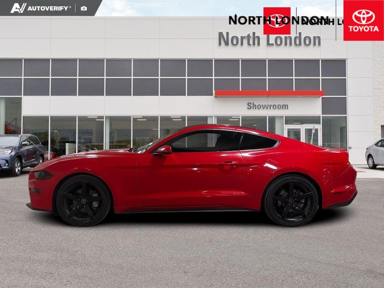 2019 Ford Mustang EcoBoost 2dr Fastback Photo3