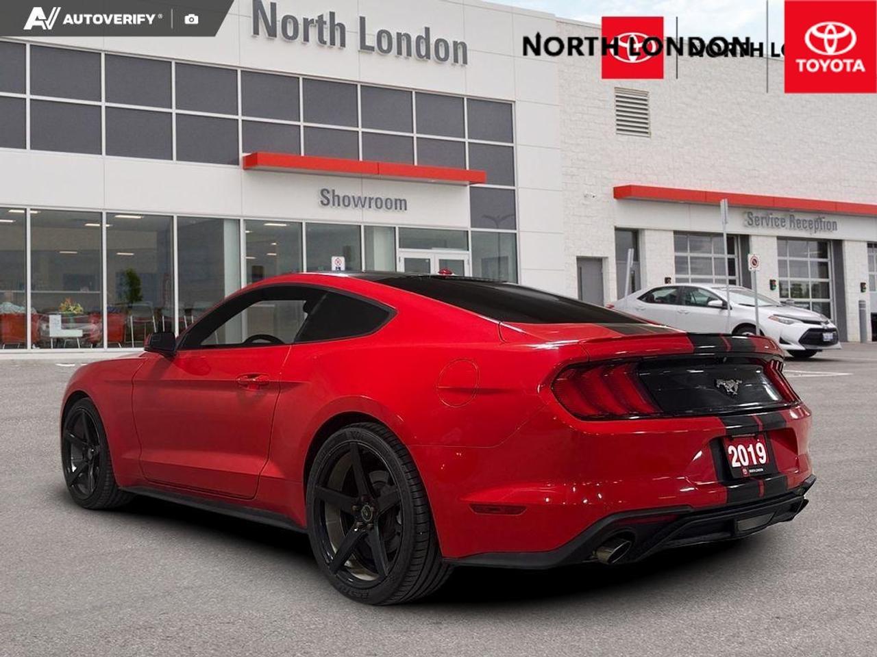2019 Ford Mustang EcoBoost 2dr Fastback Photo