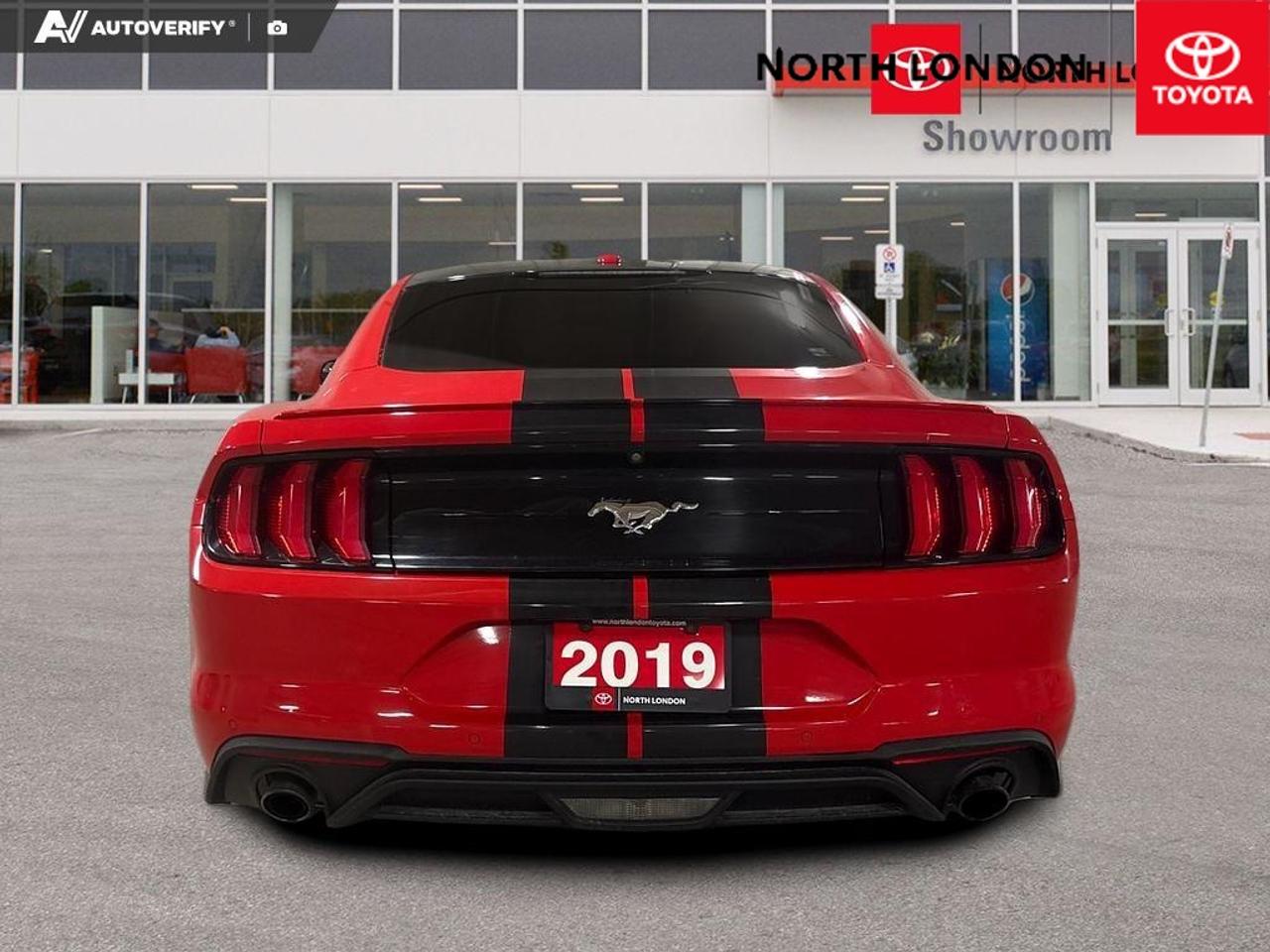 2019 Ford Mustang EcoBoost 2dr Fastback Photo