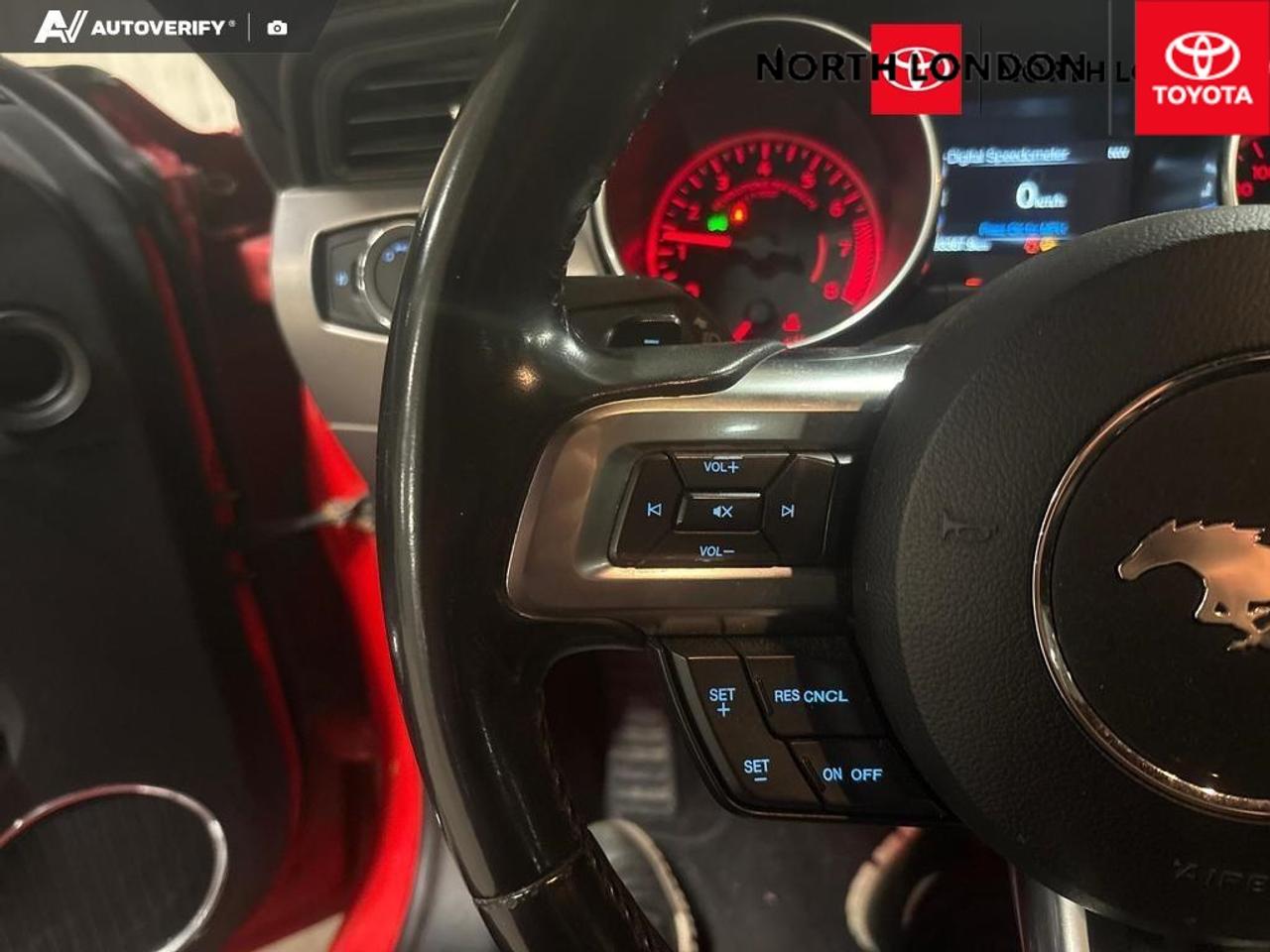 2019 Ford Mustang EcoBoost 2dr Fastback Photo