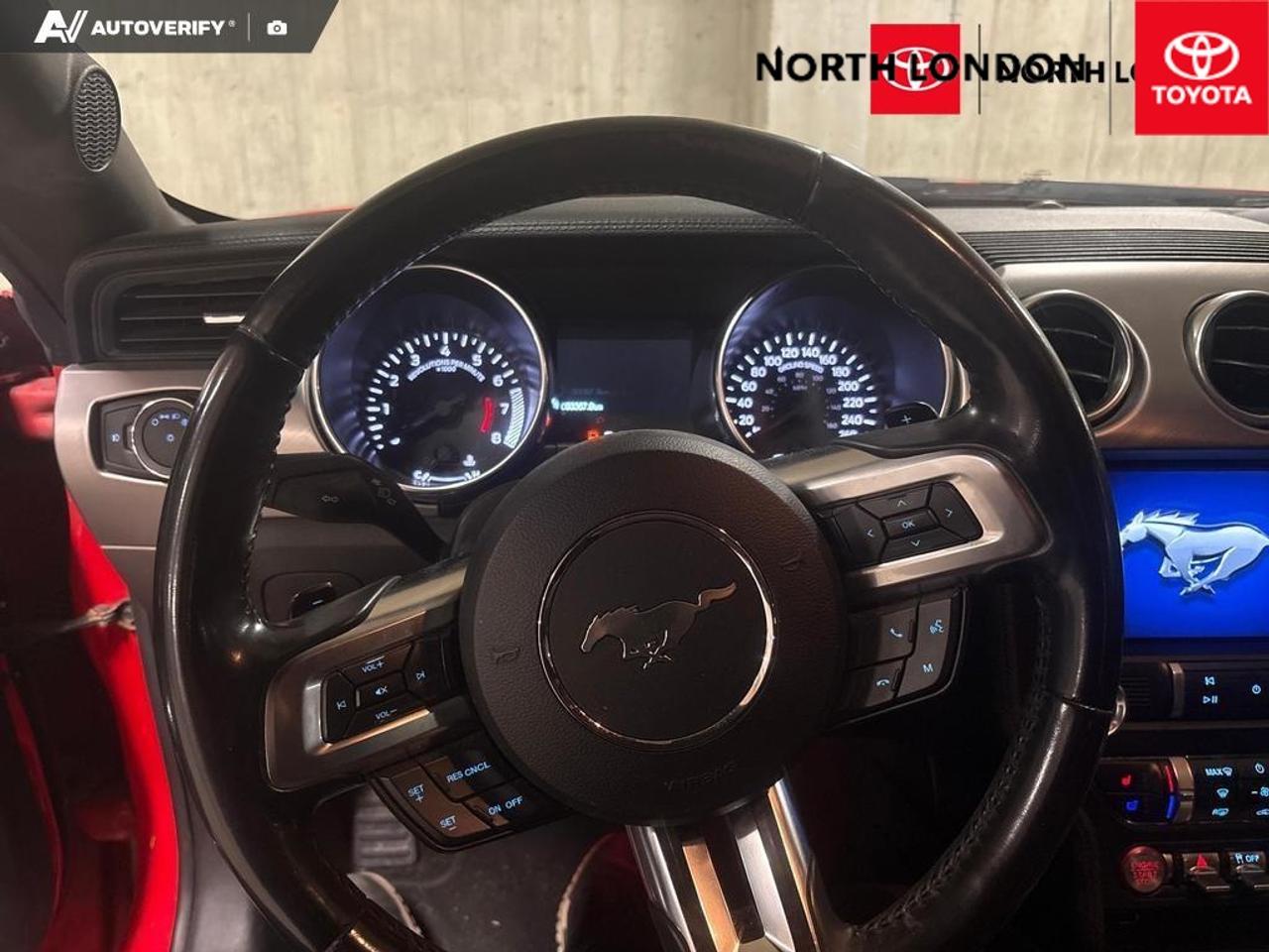 2019 Ford Mustang EcoBoost 2dr Fastback Photo