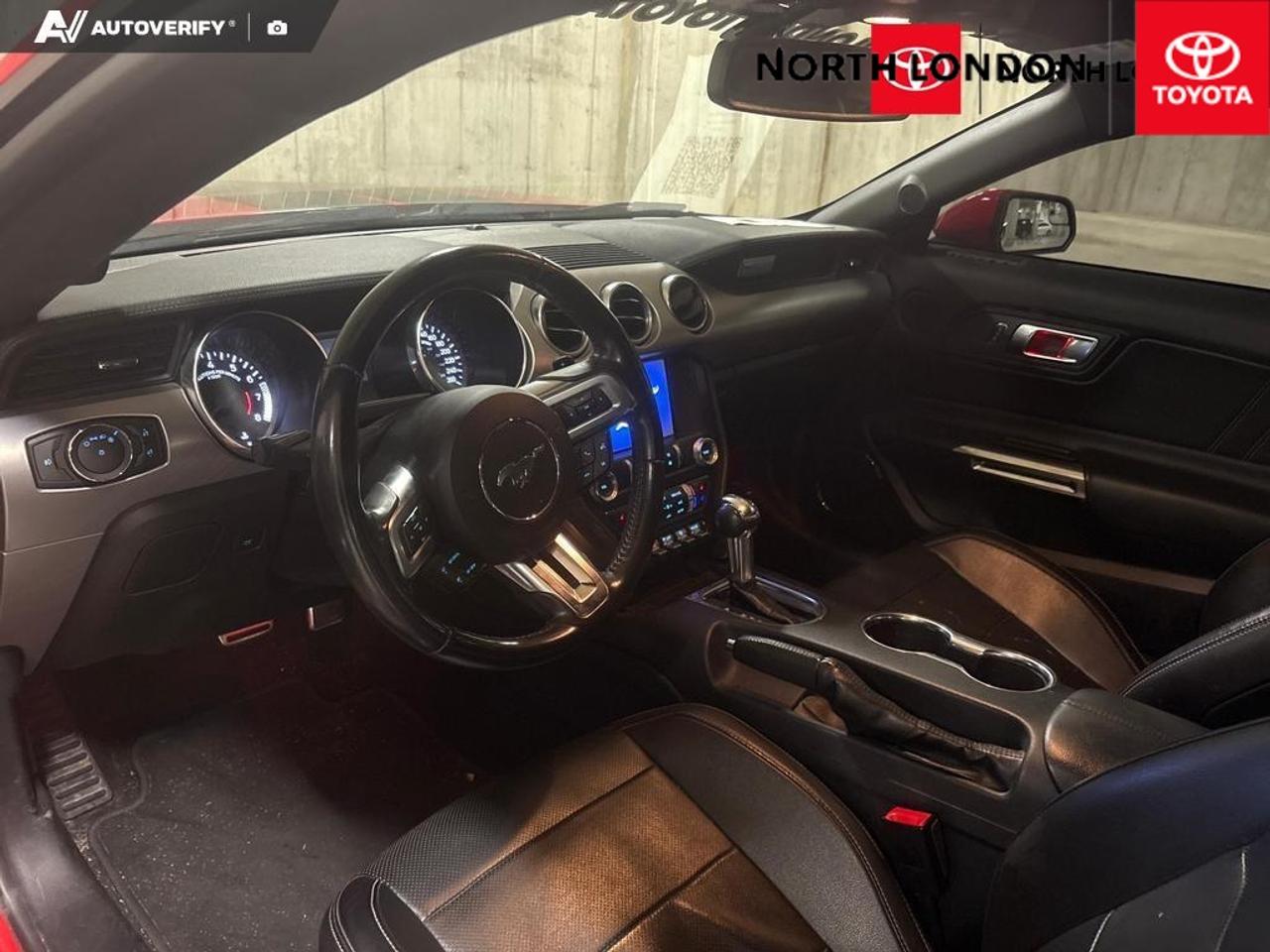 2019 Ford Mustang EcoBoost 2dr Fastback Photo