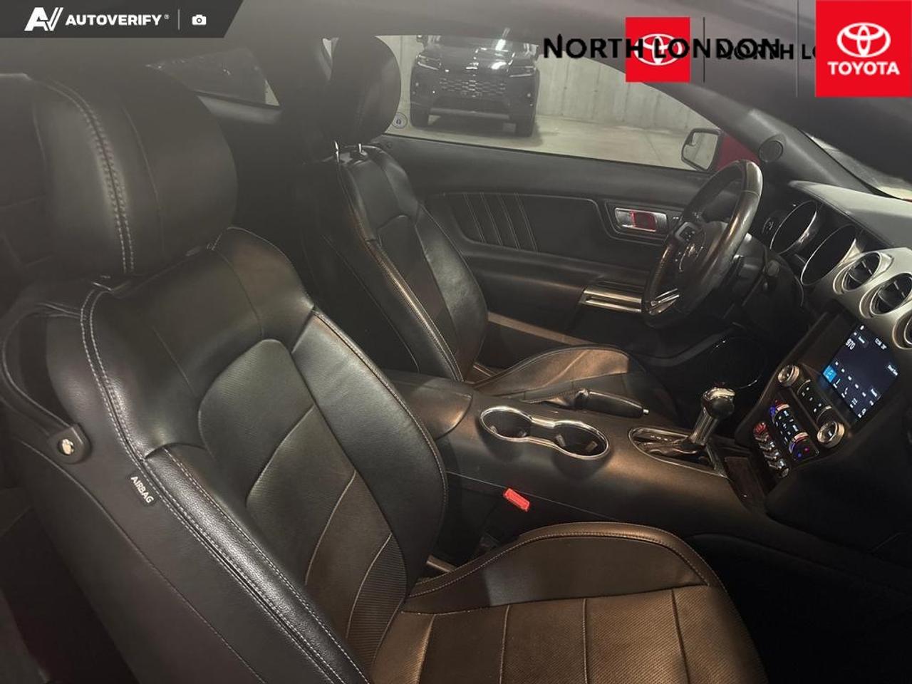 2019 Ford Mustang EcoBoost 2dr Fastback Photo
